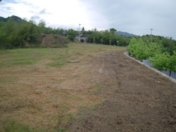 2010