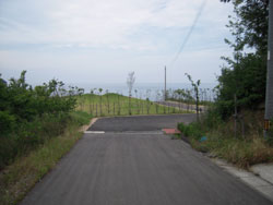 2010